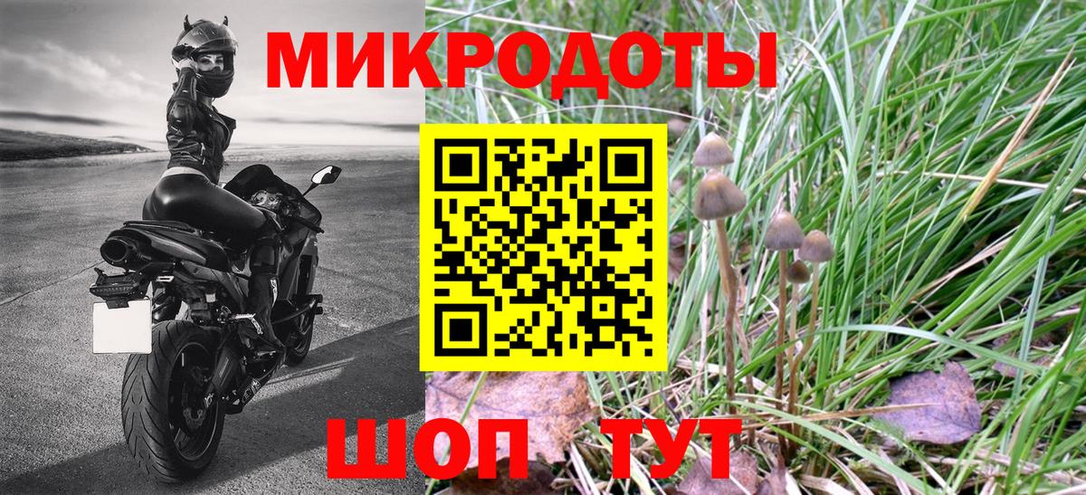 Галлюциногенные грибы Magic Shrooms Новоуральск